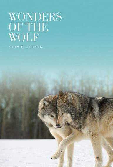Wonders of the Wolf poster