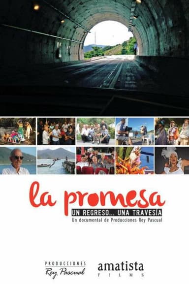 La promesa poster