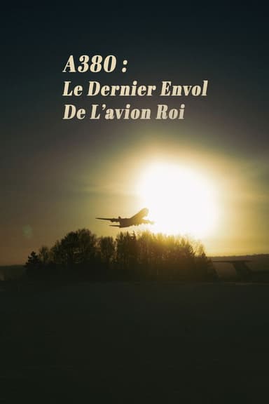 A380 : Le Dernier Envol de lavion roi poster