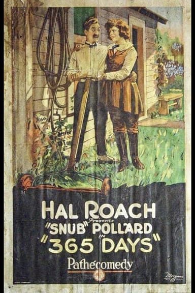 365 Days poster