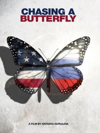 Chasing a Butterfly poster