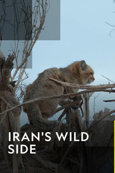 Iran's Wild Side poster