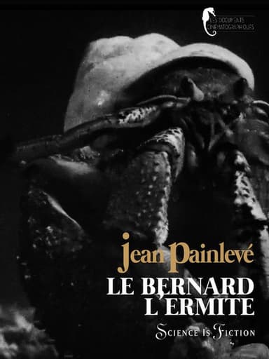 Hermit crab poster