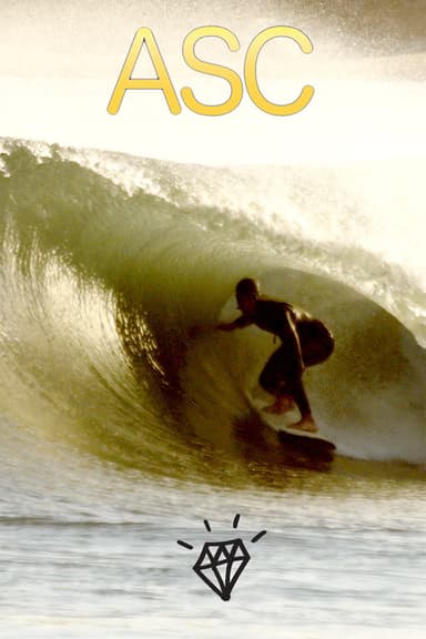 Alternative Surf Craft poster