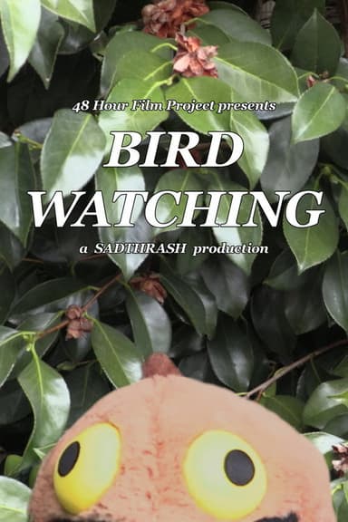 Birdwatching poster