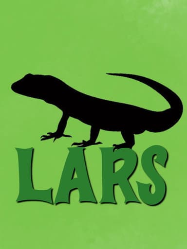 Lars! poster
