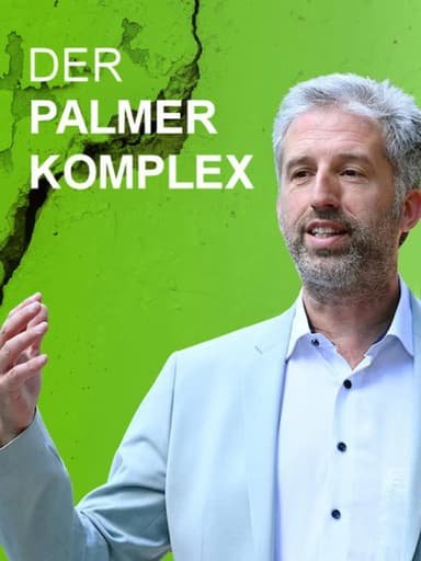 Der Palmer Komplex poster