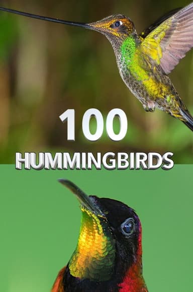 100 Hummingbirds poster