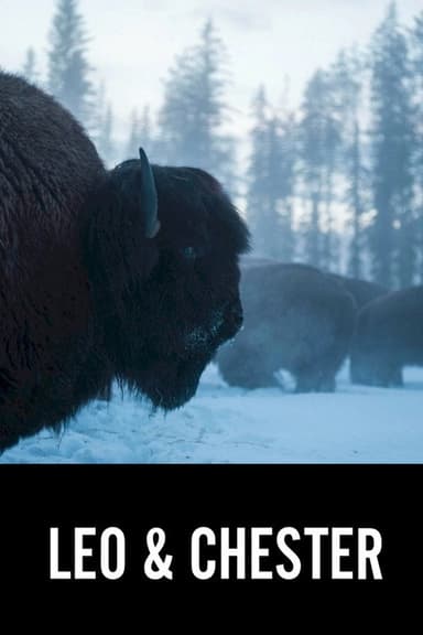 Leo & Chester poster
