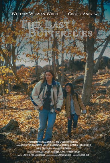 The Last Butterflies poster