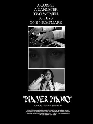 Player Piano poster