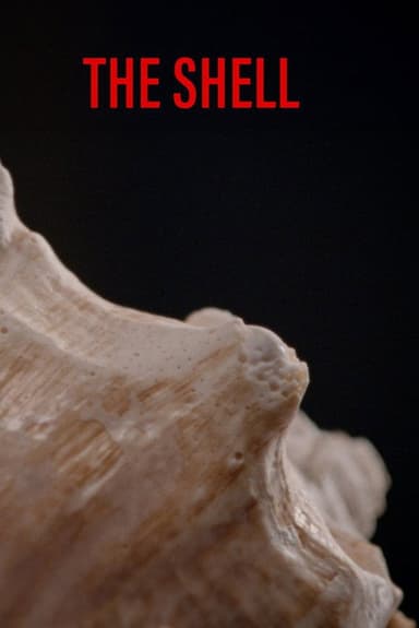The shell poster