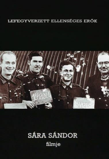 Prisoners of War poster