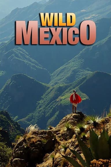 Wild Mexico poster