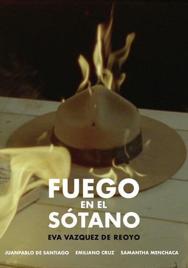Fire In The Basement poster
