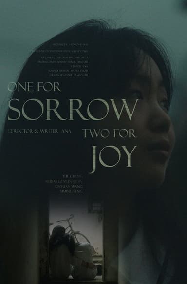 One for Sorrow, Two for Joy poster