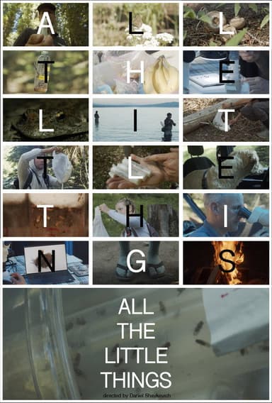 All the Little Things poster