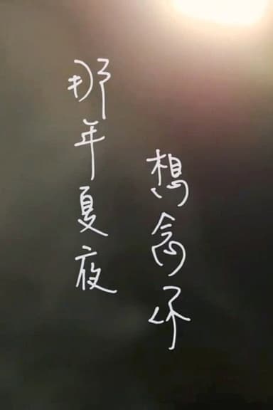 那年夏夜，想念你 poster