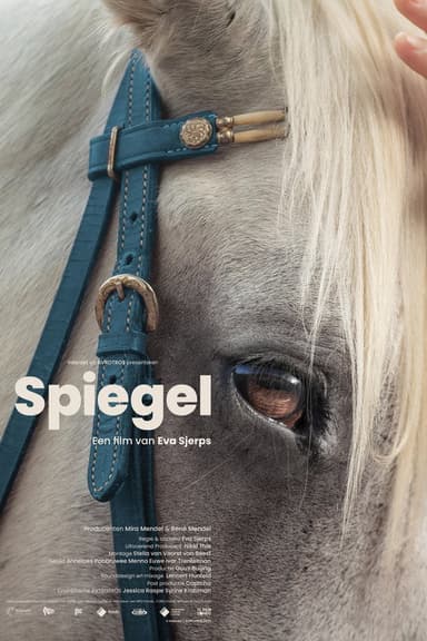 Spiegel poster