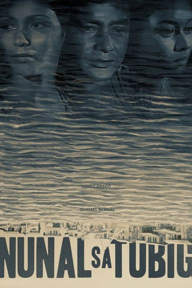 A Speck in the Water poster