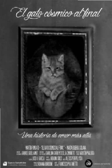 El gato cósmico al final poster