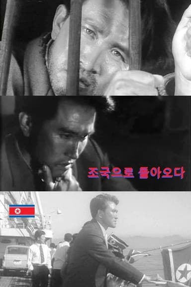 Fugitive from the South poster