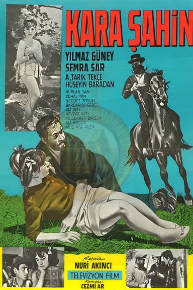 Kara Şahin poster