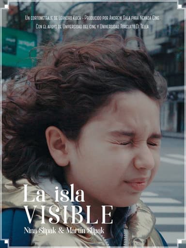Visible Island poster