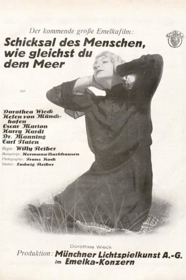 Sturmflut poster