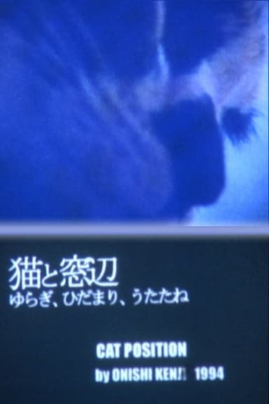 Cat Position poster
