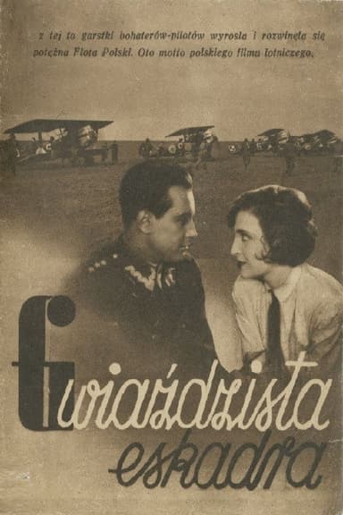 The Starry Squadron poster