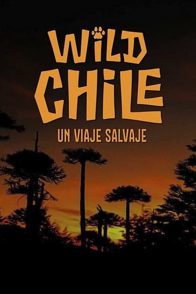 Chile: A Wild Journey - The Special poster