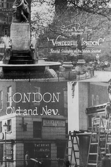 Wonderful London: London Old and New poster