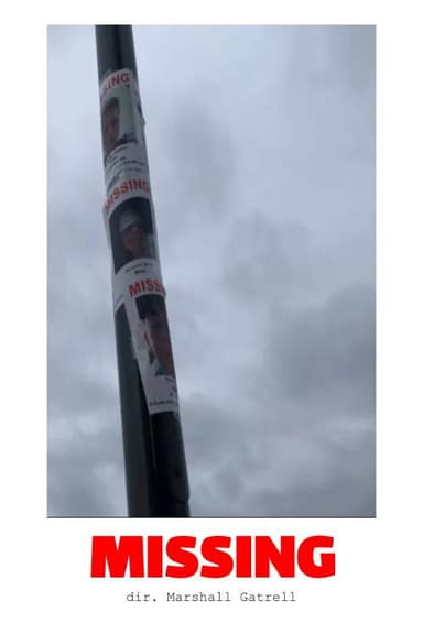 MISSING poster