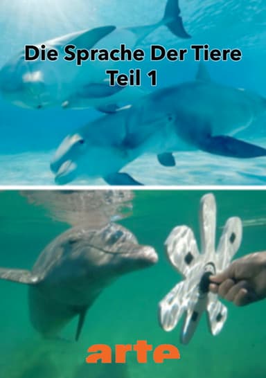 Die Eloquenz der Tiere (1/2) poster