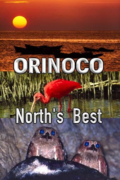 Orinoco, North’s Best poster