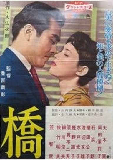 Bridge poster