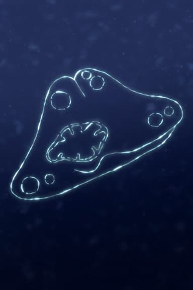 Touching the Fragments poster
