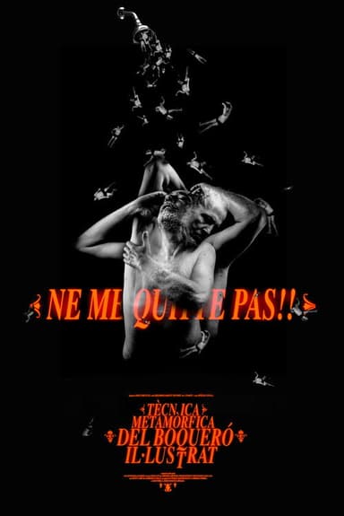 Tècnica Metamòrfica del Boqueró Il·lustrat poster