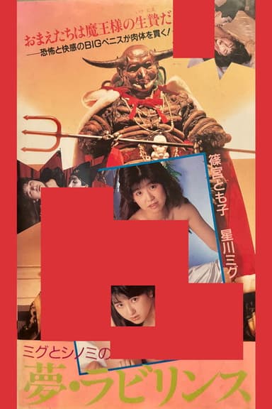 Migu & Shinomi in Dream's Labyrinth poster