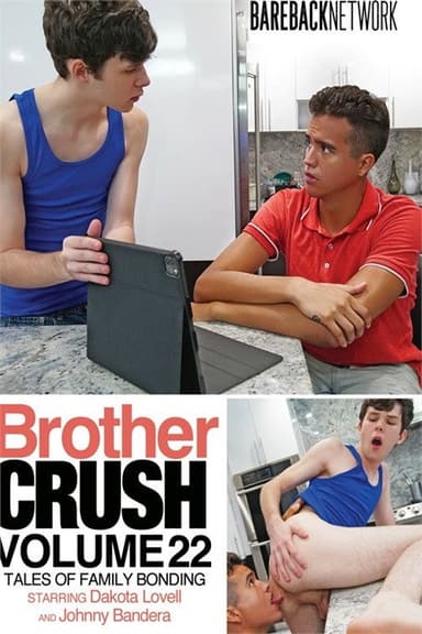 Brother Crush Vol. 22 poster