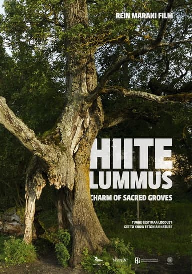 Charm of Sacred Groves poster