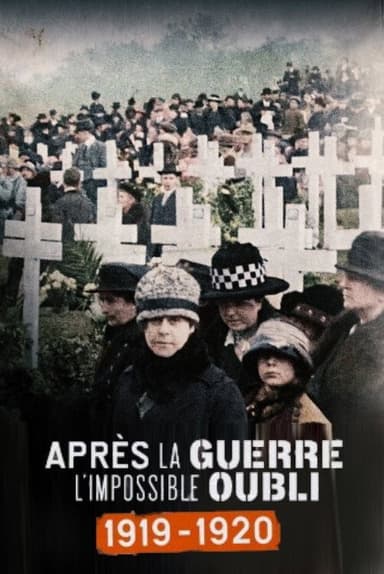 Après la guerre, l'impossible oubli (1919-1920) poster