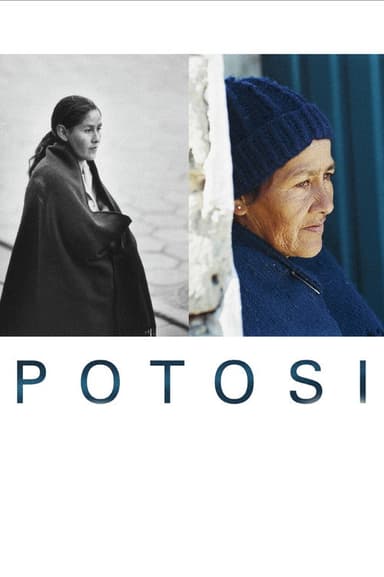 Potosi: The Journey poster