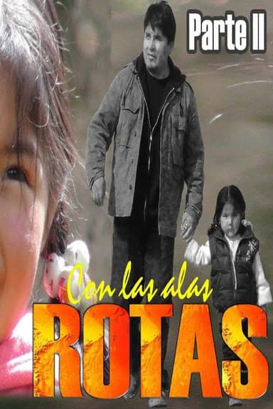 Con Las Alas Rotas 2 poster