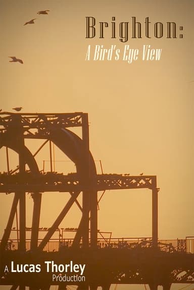 Brighton: A Bird's Eye View poster