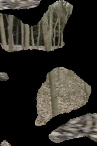 Orchard-Market poster