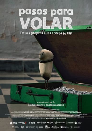 Steps to Fly poster