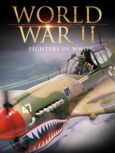 Fighters of WWII poster
