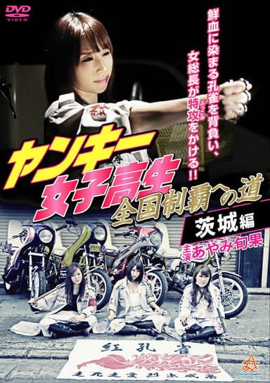 Yankee High School Girls' Road to National Domination 4 Ibaraki Edition poster